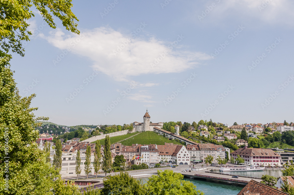 Schaffhausen, Stadt, Altstadt, Rhein, Rheinufer, Munot, Festung, Weinberg, Altstadthäuser, Schifflände, Schifffahrt, Sommer, Schweiz