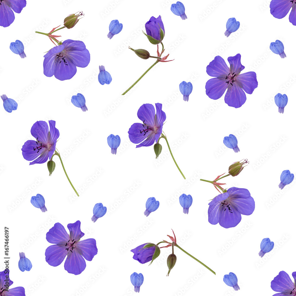 Seamless pattern with blue flowers isolated on white background