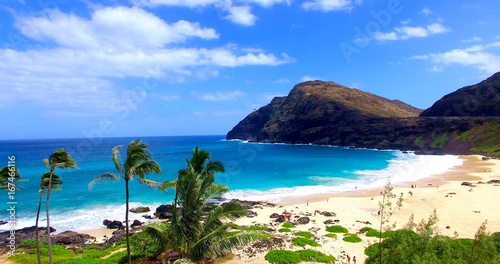 Palm Trees on Sandy Tropical Beach with Beachgoers and Blue Water Bay - Oahu, Hawaii