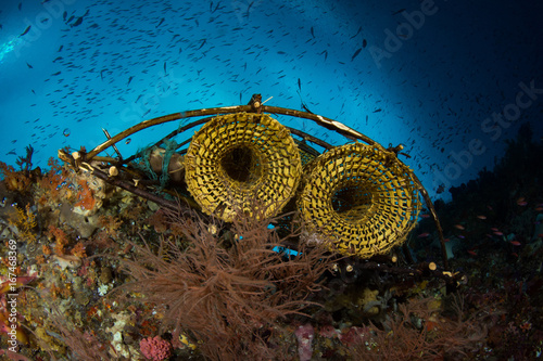 Fishy trap