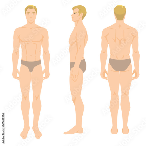 Vector illustration of young man in underwear isolated on white background. Various turns man's figure. Front view, side and back view.