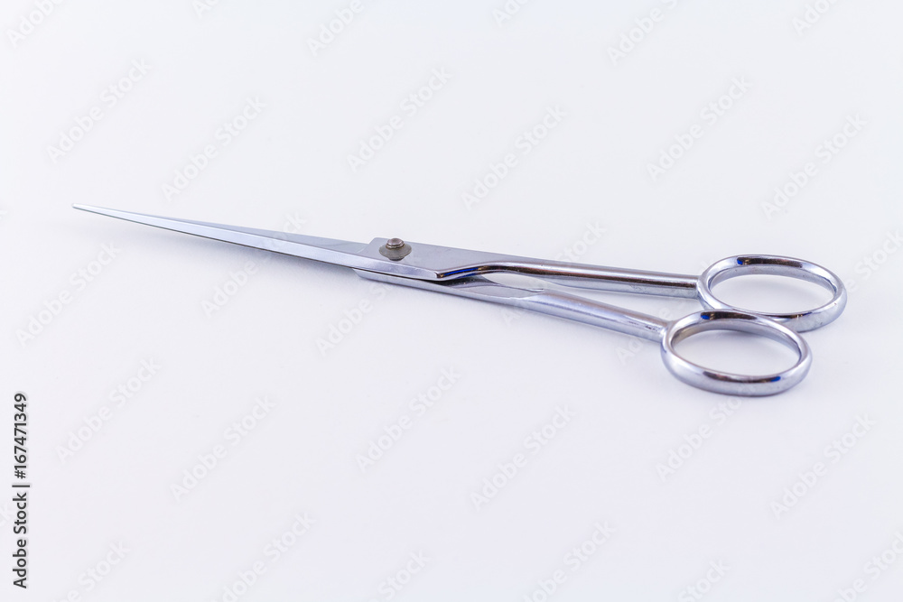 Scissors Steel Professional Isolated on White Background Scissors Steel Professional Isolated on White Background
