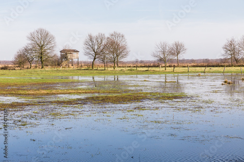 moor landscape in germany photo