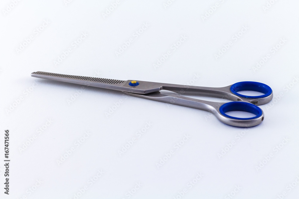 Scissors Steel Professional Isolated on White Background Scissors Steel Professional Isolated on White Background