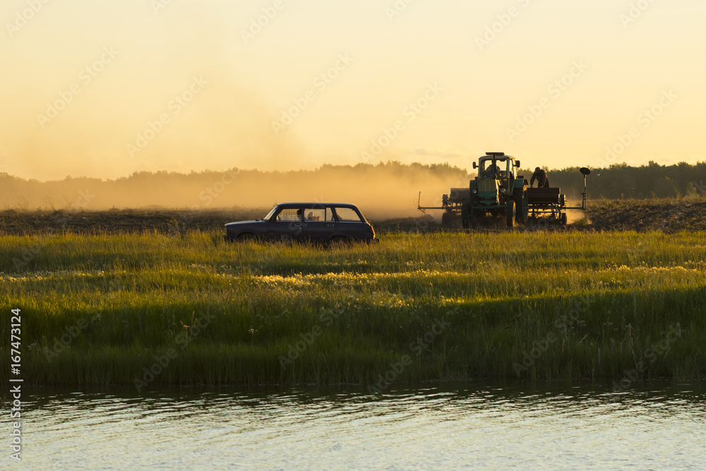 Fototapeta premium harvesting