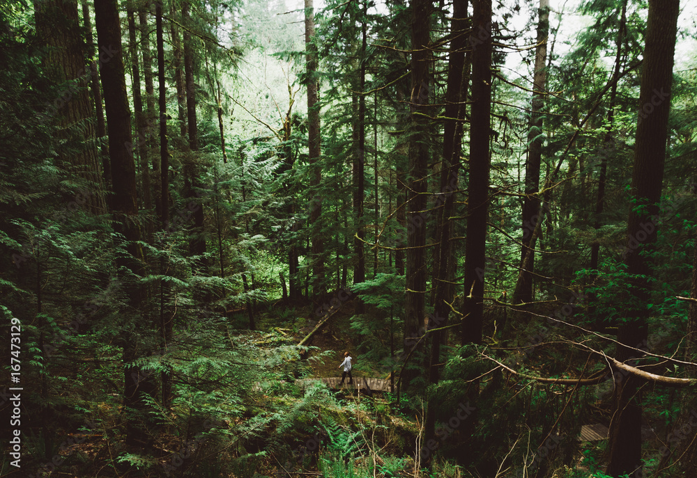 Obraz premium Man walking on empty path through green forest