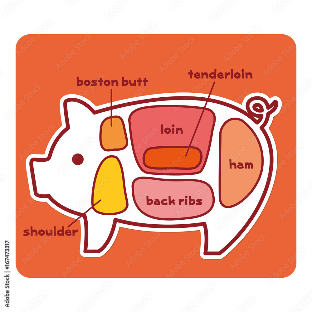 Obraz premium 豚肉の部位（英語）