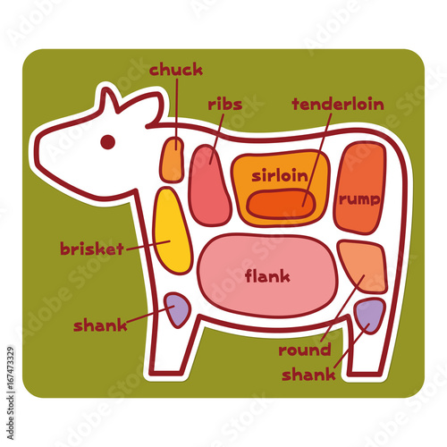 牛肉の部位 英語 Stock Vector Adobe Stock