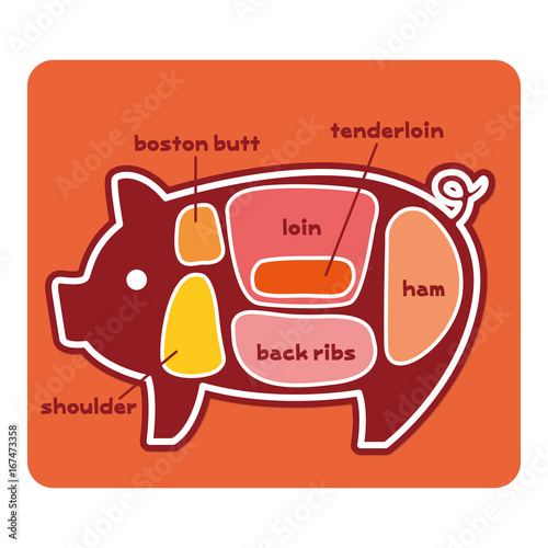 豚肉の部位（英語）