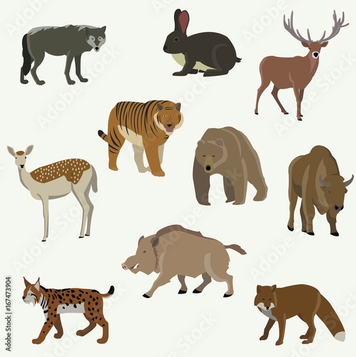 Set of forest animals. Bear, bison, wild boar, fox, wolf, llama, lynx, moose