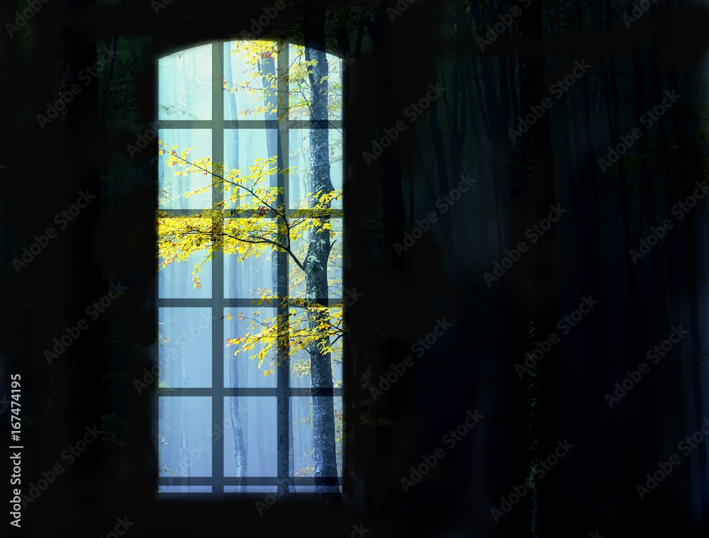 Silhouette of a window on a black background and view of autumn trees in a fog. Picture fantasy, mysticism. A lot of free space for your ideas, inscriptions.
