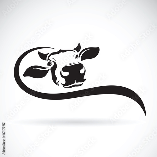 Vector of a cow head design on white background. Farm Animal.