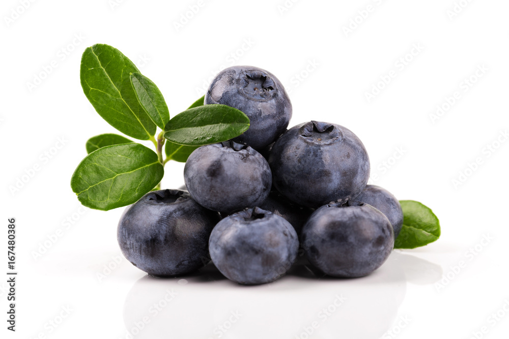 blueberries isolated on white background blueberries isolated on white background