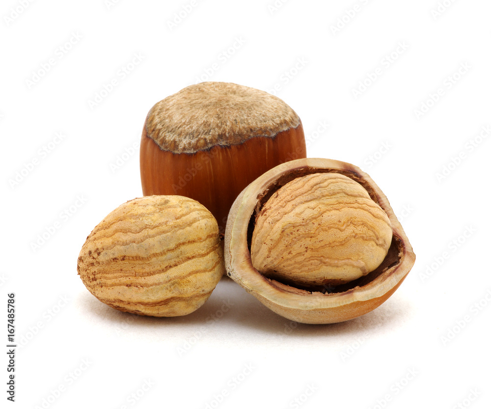 Closeup of hazelnuts