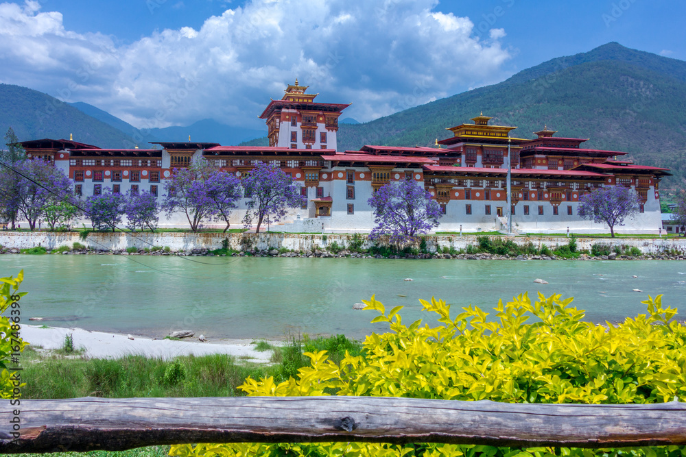 Obraz premium Punakha Dzong Front 