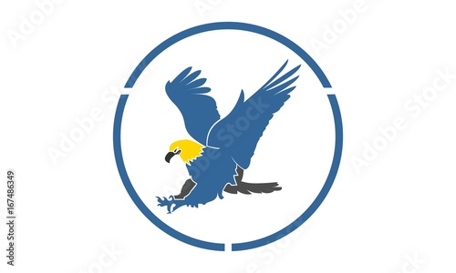 hawk hunting logo