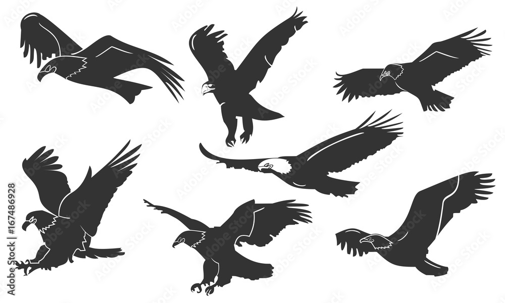 Obraz premium the eagle silhouette set