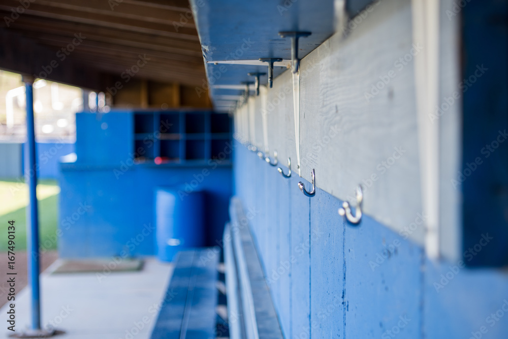 Obraz na plátně Baseball Dugout