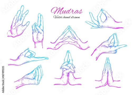 Vector hand drawn set of 9 mudras. Isolated on white. Yoga. Spirituality