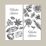 Herbs and spices collection. Vector hand drawn banners. Isolated objects
