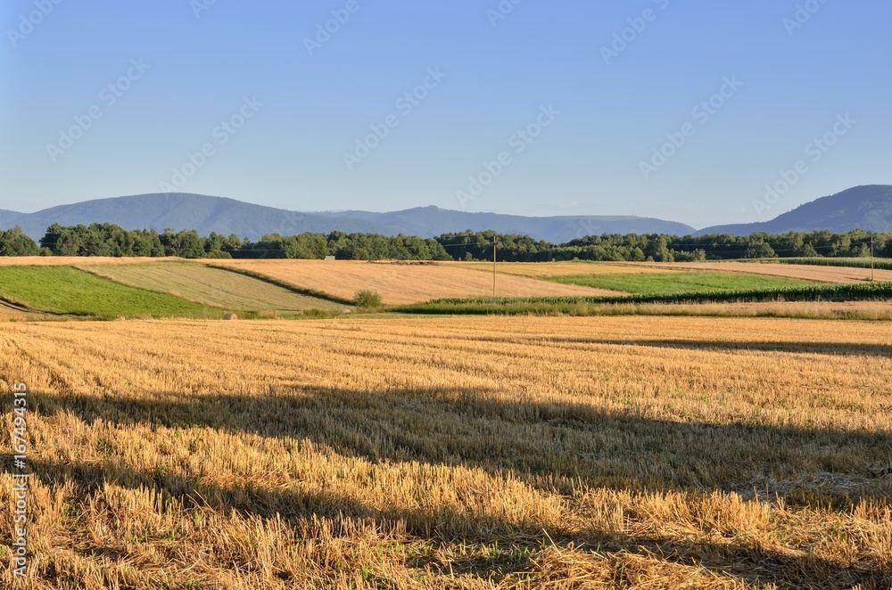 Summer mountain landscape. Cultivated fields and beautiful mountain peaks.