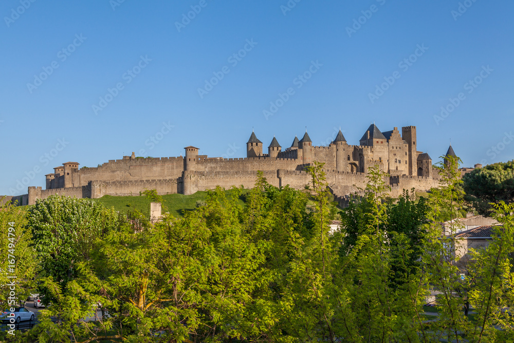 Medieval fortified city of Carcossone with trees and blue sky