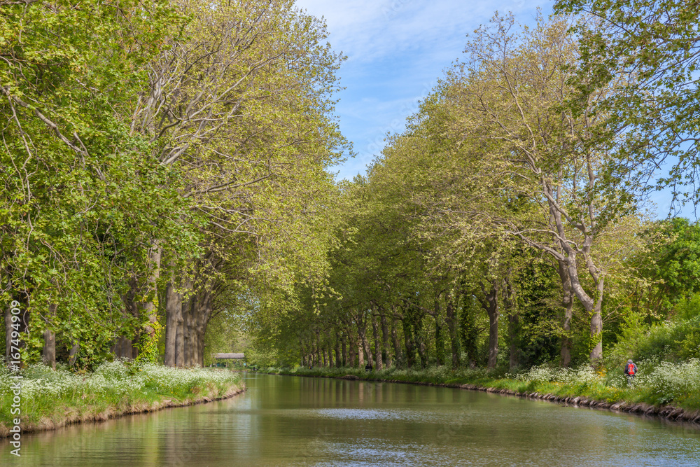 green Canal du Midi in spring summer