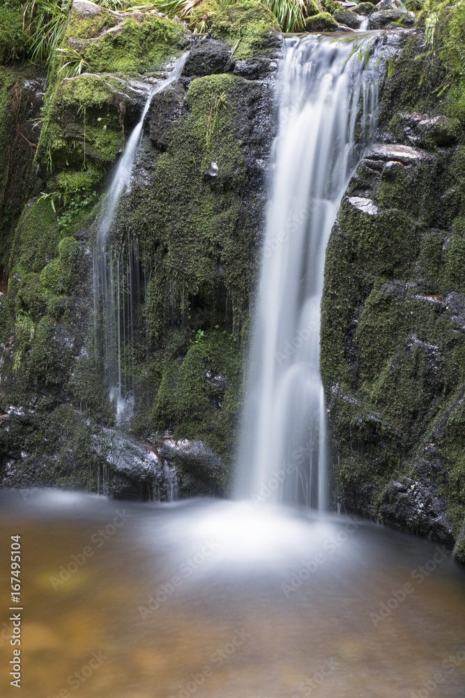 Muckenloch Wasserfall, Nationalpark Schwarzwald