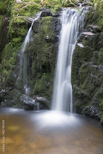 Fototapeta Naklejka Na Ścianę i Meble -  Muckenloch Wasserfall, Nationalpark Schwarzwald