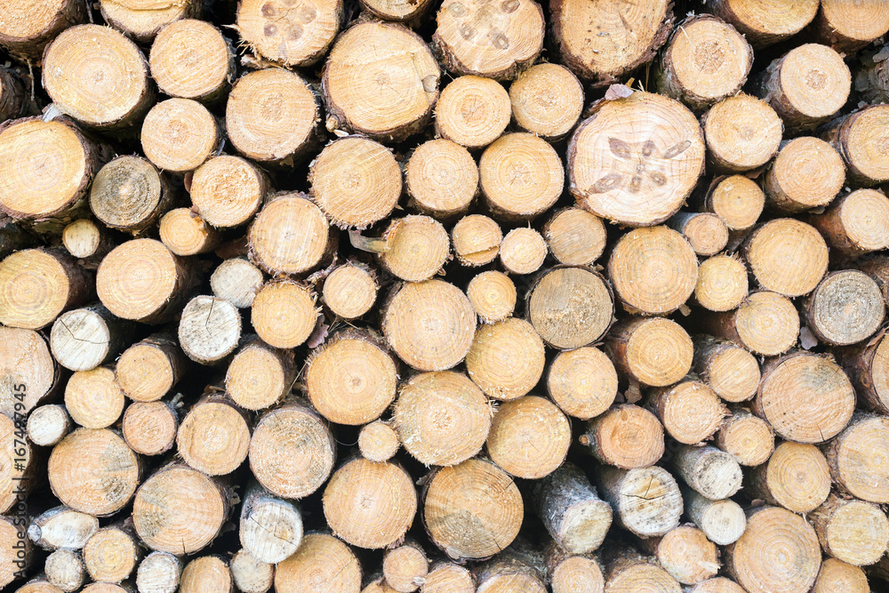 Pile of wood logs ready for winter Pile of wood logs ready for winter