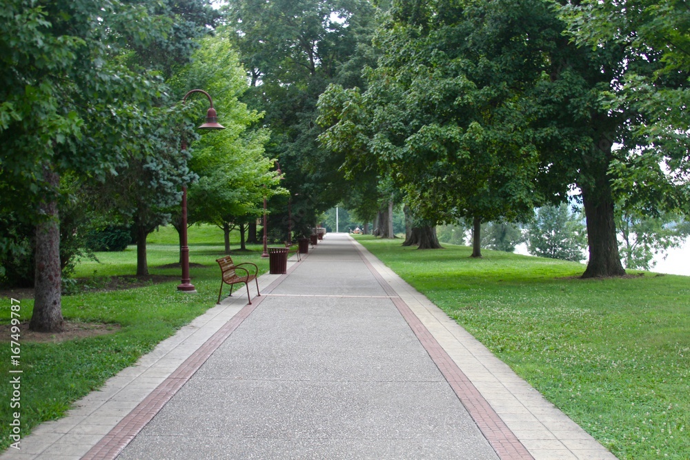 The long walkway in the park under the shade trees.