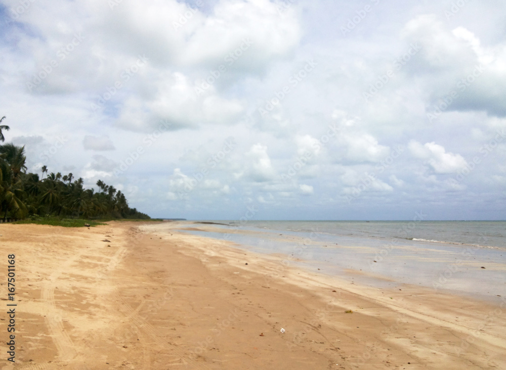 Fototapeta premium Maragogi_beach