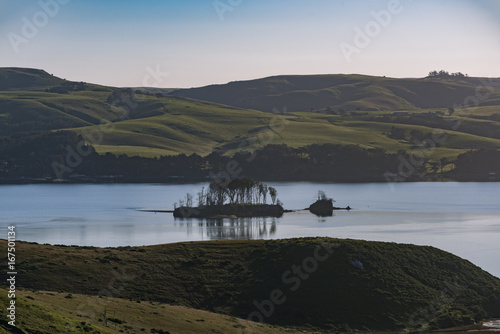 A little island in Tomales Bay
