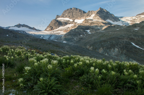 Piz Buin zum Morgengrauen