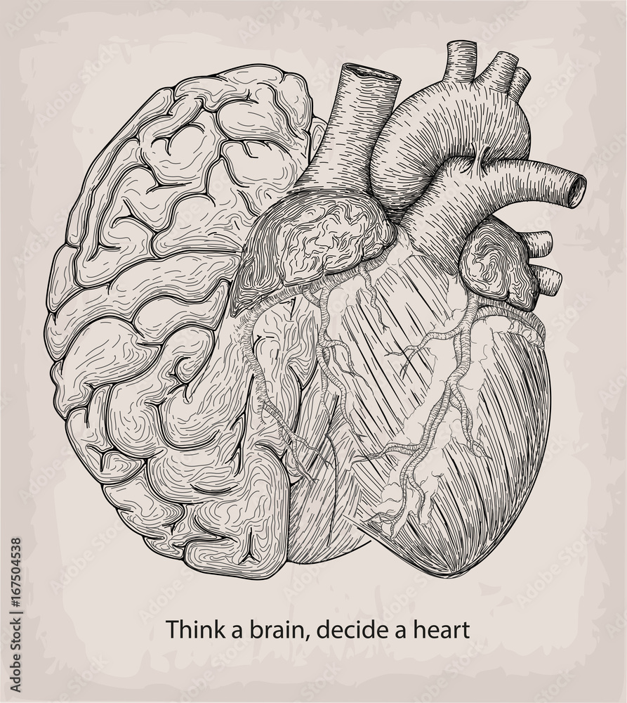 Heart with half brain of human together. Hand drawn print. Design