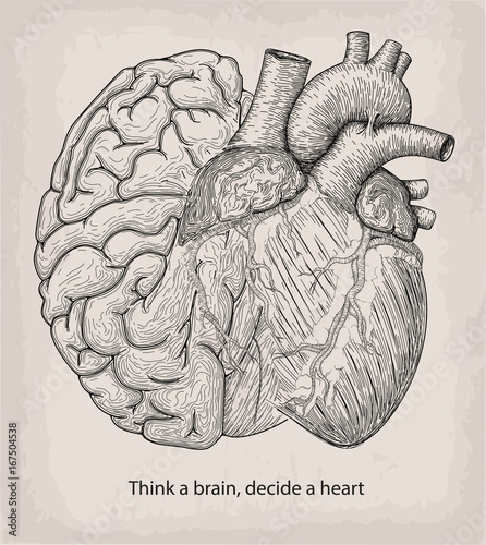 Heart with half brain of human together. Hand drawn print. Design element. Tattoo black linear art. Decorative beautiful object isolated white background. Copy text space Think a head decide a heart