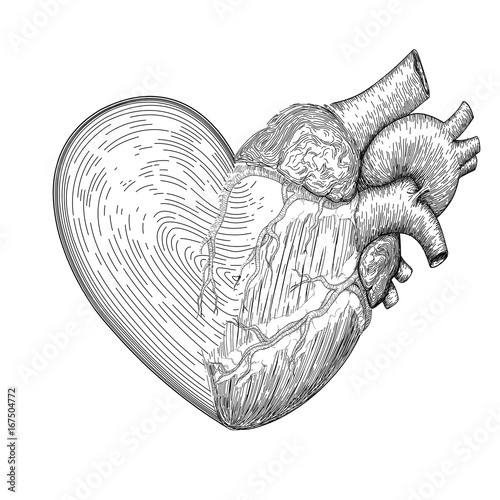Heart symbol with half real human heart together. Hand drawn like fingerprint print. Design element for Valentine's day. Tattoo black linear art. Decorative beautiful object isolated white background