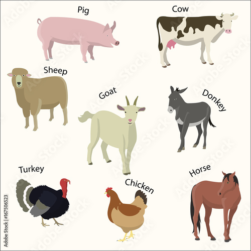 Set of farm animals.