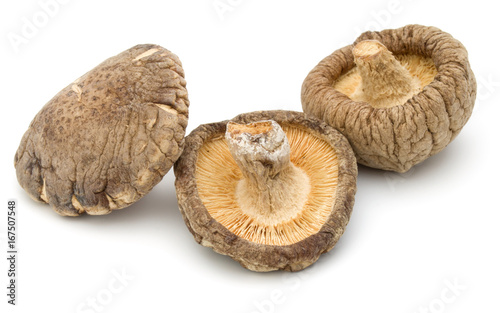 Dried Shiitake Mushroom isolated on white background