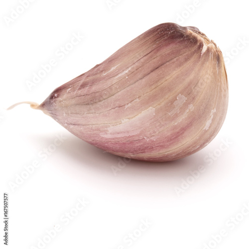 Wallpaper Mural One garlic clove isolated on white background cutout Torontodigital.ca