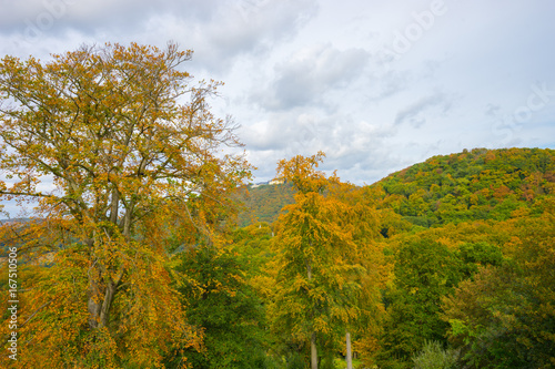 Fototapeta Naklejka Na Ścianę i Meble -  Beautiful mountain view in Autumn
