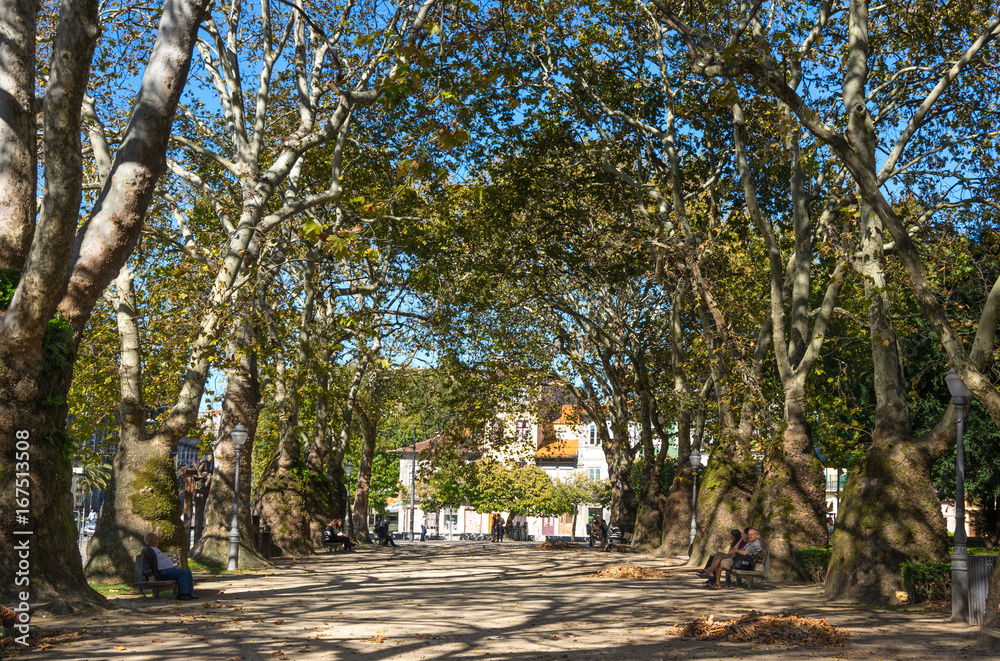 City park in Porto
