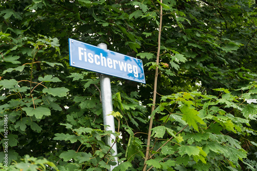 blue street sign overgrown by forest