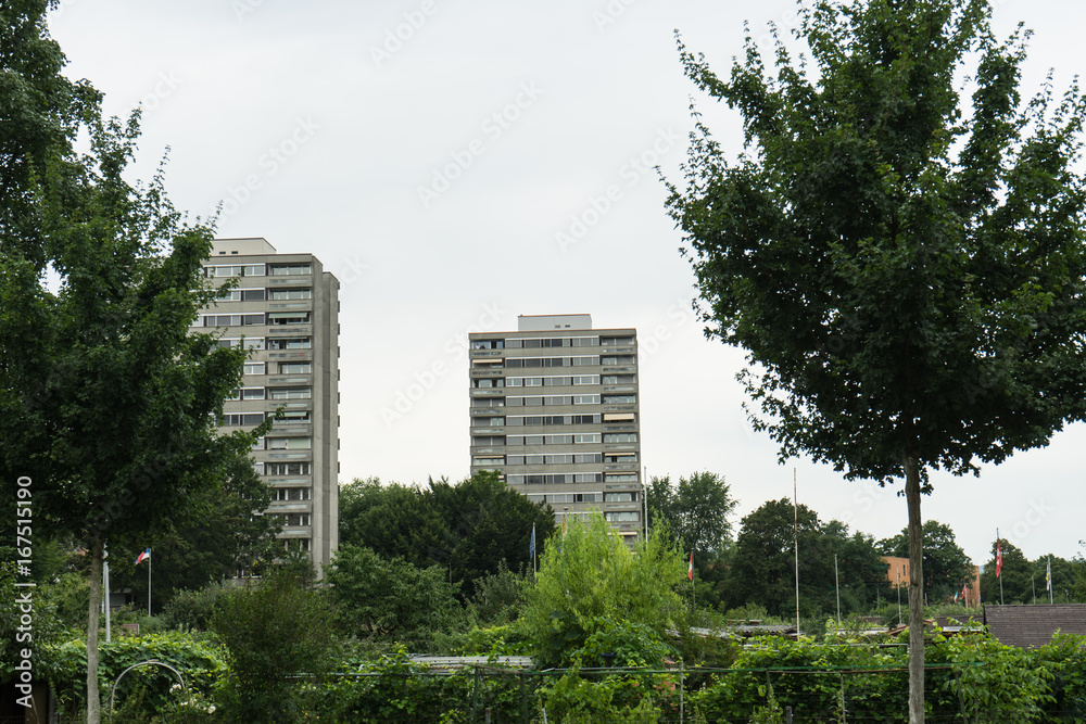suburban area with green trees