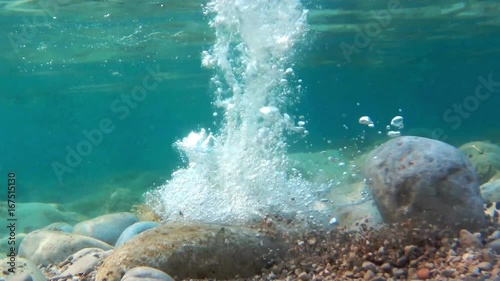 rocks and seaweeds seen from underwater, adriatic sea