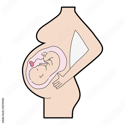 motherhood with baby inside and ubilical cord