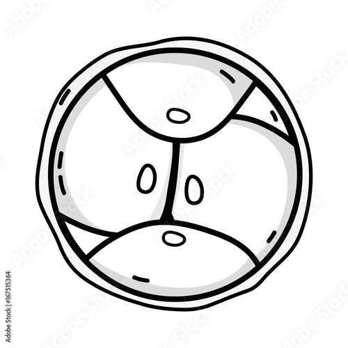 line biology genetic embryo cells division
