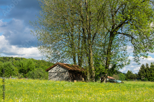 Sommerlandschaft