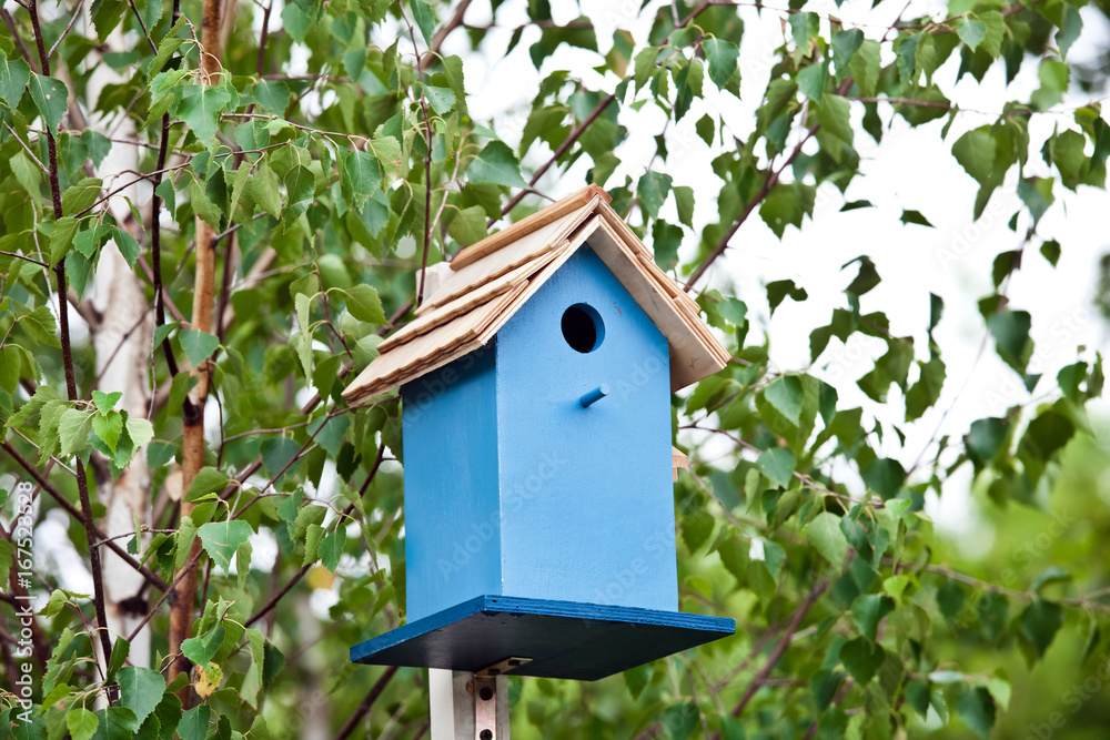Blue birdhouse on the tree. Wooden house for birds among the leaves Blue birdhouse on the tree. Wooden house for birds among the leaves
