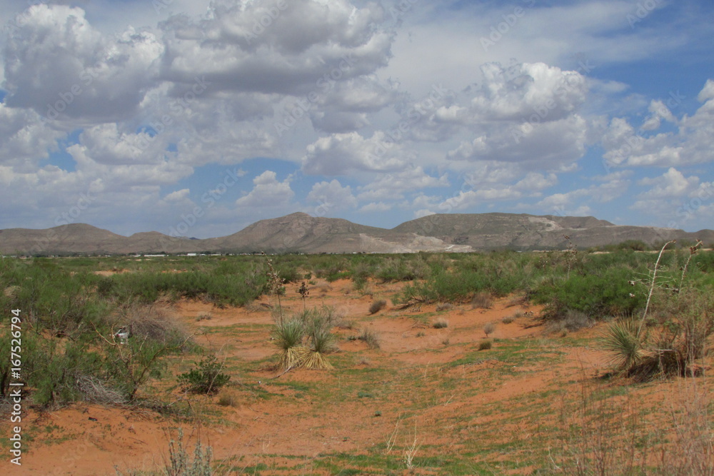 El Paso Landscape 